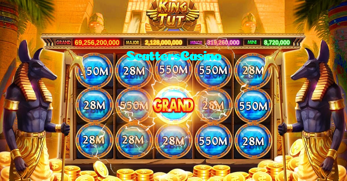 available types of ScattersCasino bet including pre-match live express and system bets